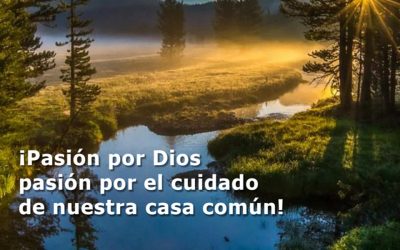 Fichas de reflexión «Laudato Si»