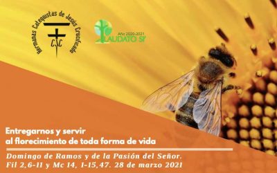 EcoEvangelio: Domingo de Ramos
