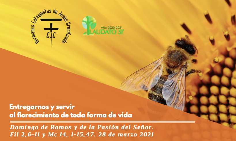 EcoEvangelio: Domingo de Ramos