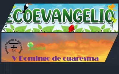 EcoEvangelio: V Domingo de cuaresma