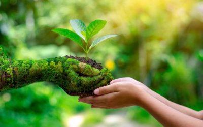 EcoEvangelio Niños, VI Domingo de Tiempo Ordinario, 13 Febrero 2022