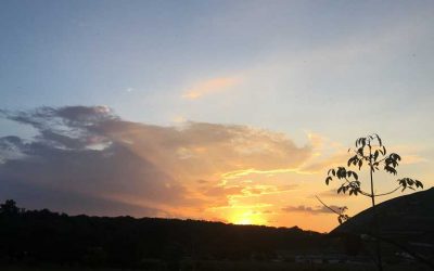 Jornada de formación: Tema 3 «Pérdidas y duelo en tiempos de Covid-19»