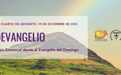 EcoEvangelio IV Domingo de adviento