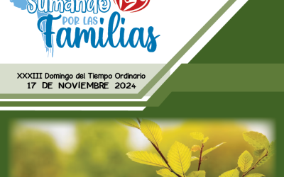 SUMANDO POR LAS FAMILIAS XXXIII DOMINGO ORDINARIO 17 NOV 24