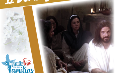 SUMANDO POR LAS FAMILIAS – II DOMINGO DE PASCUA 27 ABRIL 2025 –