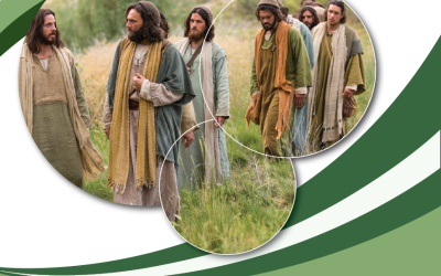 SUMANDO POR LAS FAMILIAS – XIV DOMINGO ORDINARIO CICLO C –