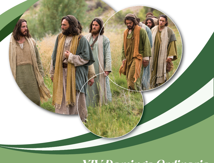 SUMANDO POR LAS FAMILIAS – XIV DOMINGO ORDINARIO CICLO C –