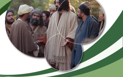 SUMANDO POR LAS FAMILIAS – XV DOMINGO ORDINARIO CICLO C –