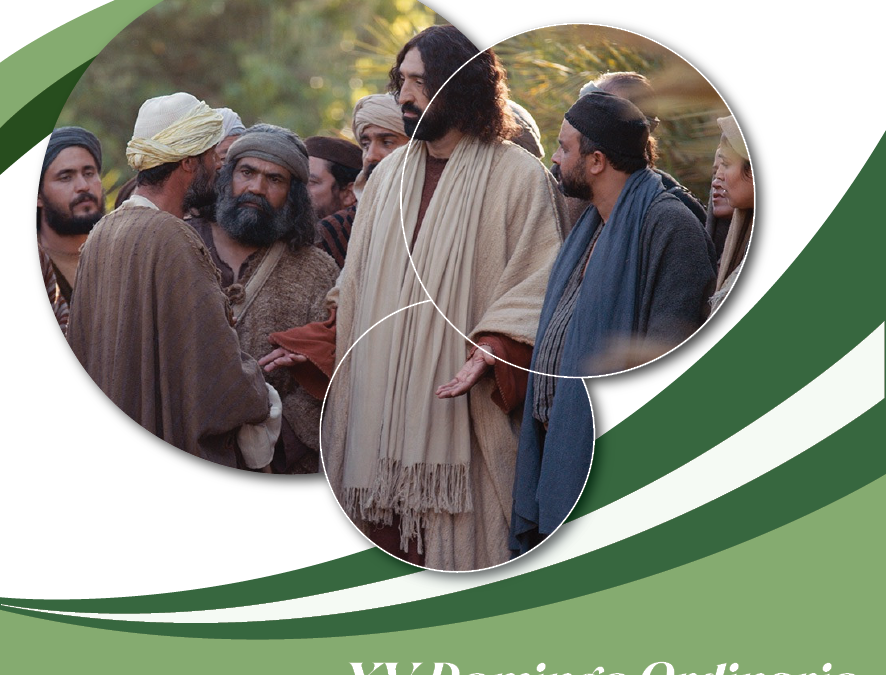SUMANDO POR LAS FAMILIAS – XV DOMINGO ORDINARIO CICLO C –