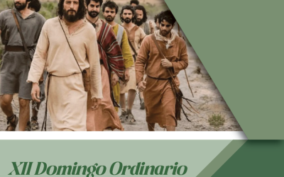 SUMANDO POR LAS FAMILIAS – XII DOMINGO ORDINARIO CICLO C –