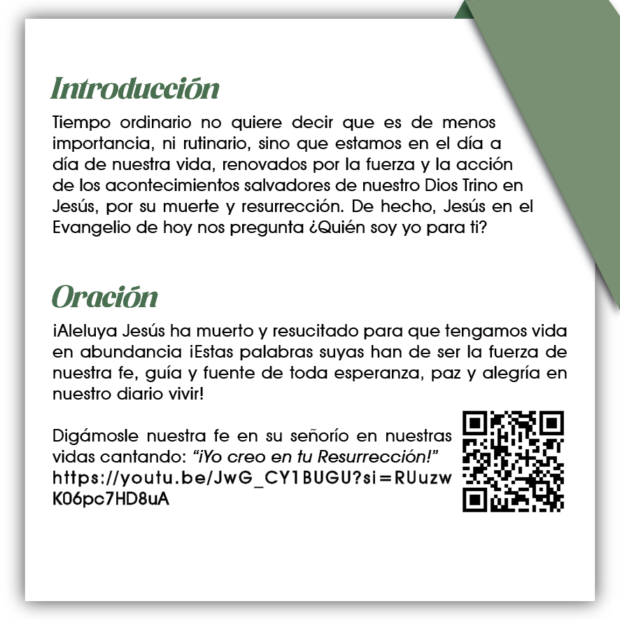 22 JUNIO XII domingo ordinario2