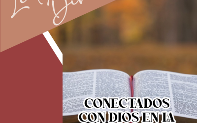 LECTIO DIVINA PARA CATEQUISTAS – 14 septiembre 2025 –