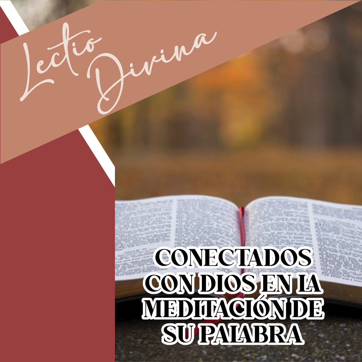 LECTIO DIVINA SEMANA 2
