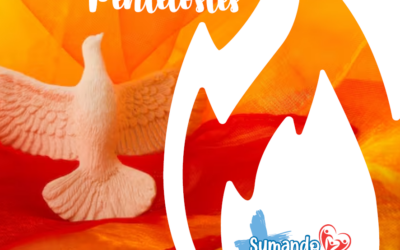 SUMANDO POR LAS FAMILIAS – DOMINGO DE PENTECOSTES – 24 MAYO 2026